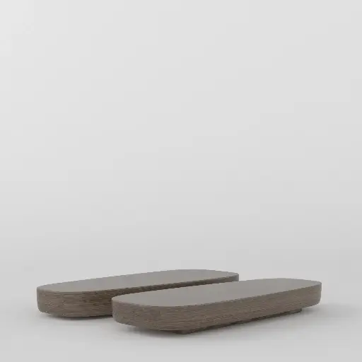 Twin Ellipse Coffee Table 